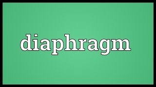 Diaphragm Meaning [upl. by Atterbury617]