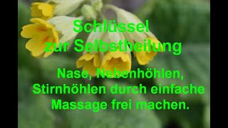 Nase Nebenhöhlen Stirnhöhlen durch einfache Massage frei machen [upl. by Dong]