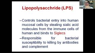 Antigenic structures amp Biochemical test of N gonorrhoeae [upl. by Tzong]