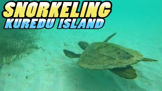 SNORKELING in Maldives  Kuredu Island Resort and Spa 4k [upl. by Esemaj]