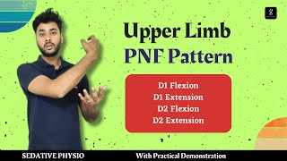 Upper Extremity PNF Patterns  D1 amp D2 Patterns  D1 Flexioin D2 Flexion [upl. by Leland]