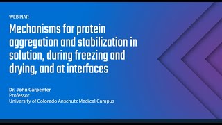 Mechanisms for protein aggregation and stabilization [upl. by Jaquelin529]