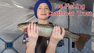 Catching Cutthroat Trout Through The Ice At Scofield Reservoir [upl. by Sussi]