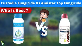 CUSTODIA FUNGICIDE VS AMISTAR TOP FUNGICIDEредAZOXYSTROBIN TEBUCONAZOLE DIFENCONAZOL ред KHETIKI GYAN [upl. by Konstance]