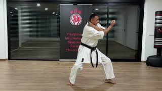 The Official Tiska Karate  2 Heian Nidan Detailed Tips [upl. by Garland]