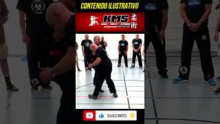 Krav Maga y Llaves de Manos [upl. by Ahsuas]