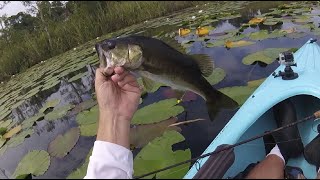 Kayak Bass Fishing Report 7272024 [upl. by Mercado]