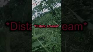 Terrifying Hiking Footage creepy [upl. by Orthman]