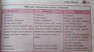 difference between protheria metatheria and eutheria mammals best handwritten study notes [upl. by Mccallum]