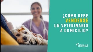 ¿Cómo debe venderse un veterinario a domicilio  Veterinario Emprendedor [upl. by Jemine]