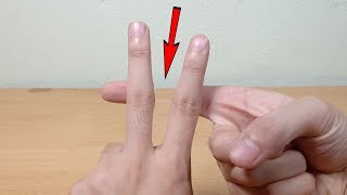 5 Magic Tricks That You Can Do [upl. by Thorsten]