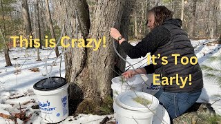 Maple Syrup Season in Northern Michigan [upl. by Gilburt]