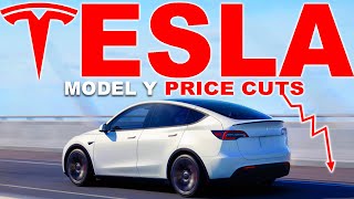 Tesla MODEL Y New Low Monthly Price  Buy Now or Wait [upl. by Treharne]