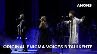 Группа Original Enigma Voices впервые выступила в Ташкенте видеорепортаж  интервью [upl. by Imak]