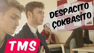 Çokbasito ft Berk Coşkun quotDespacitoquot Parodi [upl. by Lean]