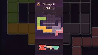 Block King Challenge Level 11 [upl. by Furlong]