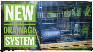 Our Newest Outdoor Dog Kennel Setup Design With a Waste Drainage System  Louisville Kentucy [upl. by Ladew]