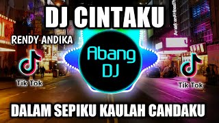 DJ CINTAKU RENDY ANDIKA REMIX VIRAL TIKTOK TERBARU 2022 DALAM SEPIKU KAULAH CANDAKU [upl. by Hamal]