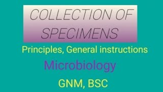 Specimen Collection From The Patients ।। Sample Collection ।। [upl. by Eelyab394]