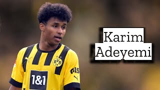 Karim Adeyemi  Skills and Goals  Highlights [upl. by Alyat433]