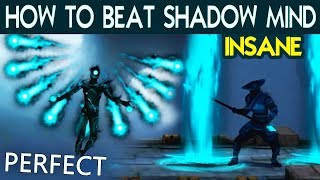 Shadow Fight 3 Defeat Shadow Mind with PERFECT on INSANE Tactics and Best Shadow Abilities [upl. by Edge]