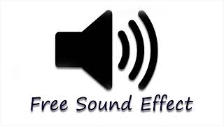 gunshot free sound effect [upl. by Gloria]