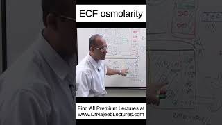 ECF osmolarity shortvideo shorts drnajeeb drnajeeblectures [upl. by Forsyth]