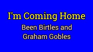 Im Coming Home  Beeb Birtles amp Graeham Goble Lyrics Video [upl. by Ferrel]