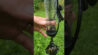 Tropical Storm Beryl  Lots Of Rain At Our Farm In Michigan beryl garden farmlife homestead [upl. by Amre]