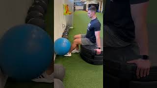 Seated SB Knee Extension PIMA [upl. by Ellehcim]