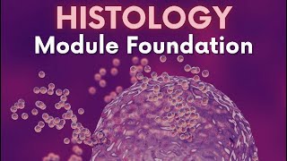 Epithelium 3  Foundation  Dr Nada [upl. by Euqinahs]