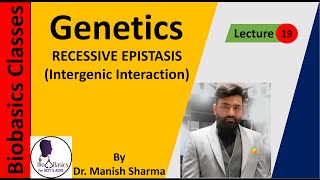 Recessive Epistasis Intergenic Interaction GENETICS [upl. by Prud]