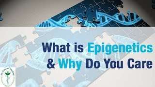 Example Of Epigenetics [upl. by Sethrida287]