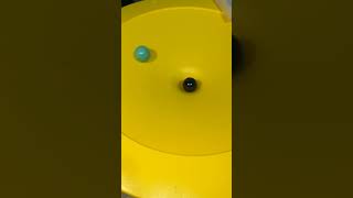 🐢🐢🟢⚪️ Reverse Motion Marbles Haba Funnel Jungle Marble Run ASMR chrome oddlysatisfying fyp 🐢🐢⚪️🟢 [upl. by Leamiba]