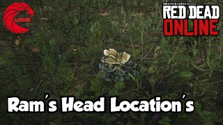 Rams Head Locations rdr2 Online  Red Dead Online Rams Head Location Guide [upl. by Halullat]