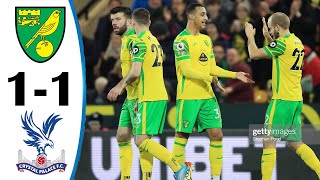 Norwich vs Crystal Palace 11 All Highlights 09022022 [upl. by Vigor]