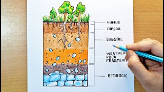 soil profile diagram  how to draw soil profile  soil profile and soil horizon drawing [upl. by Karas]