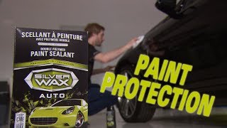 Car Care Tip Silver Wax Paint Protection [upl. by Repotsirhc]