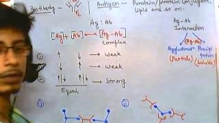 Antigens and antibodies [upl. by Romy928]