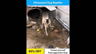 Ultrasound Dog Repeller [upl. by Annoled]