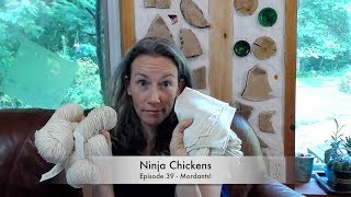 Ninja Chickens  All about Mordants and Natural Dyeing Episode 39 Knitting Podcast [upl. by Ioab]