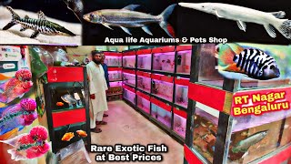 Rare amp Exotic Monster fish with Prices at Aqua Life Aquariums amp Pets RT Nagar Bengaluru [upl. by Thin]