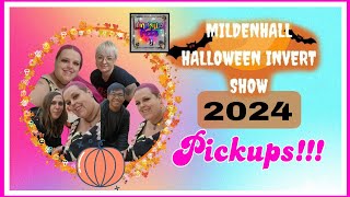 Mildenhall halloween invert show 2024 [upl. by Gusti818]