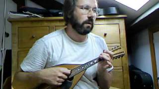 Italian folk song La Palumella trad from Naples on Embergher mandolin [upl. by Nibur643]