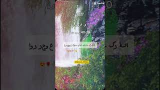 quran urdu translate islamic status [upl. by Crowe]