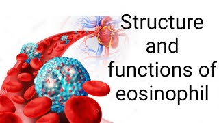 Structure and functions of EosinophilsEosinophilia allergic reaction in detail [upl. by Nathalie]