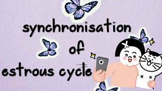 Estrous cycle 𝖘𝖙𝖚𝖉𝖞 𝖜𝖎𝖙𝖍 𝖒𝖊 synchronisation of estrous cycle in cattle [upl. by Pollard]