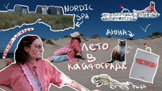 ЛЕТО К КАЙФОГРАДЕ  влог из калининграда и области дюна эфа nordic spa залив [upl. by Budde614]