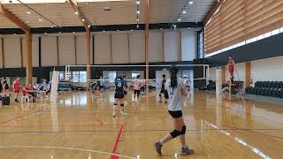 Spring Fling 2024 Gold Diggers vs Susan Wang [upl. by Ob]