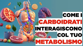 CARBOIDRATI come interagiscono col tuo METABOLISMO [upl. by Zoldi482]